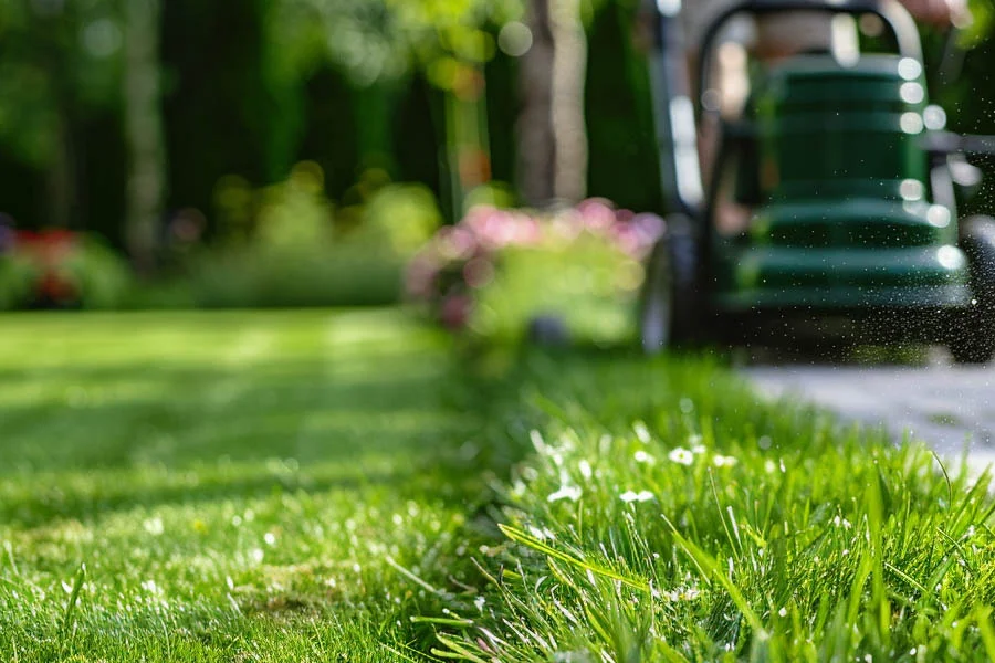 propelled lawn mower